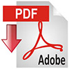 pdf-icon.jpg